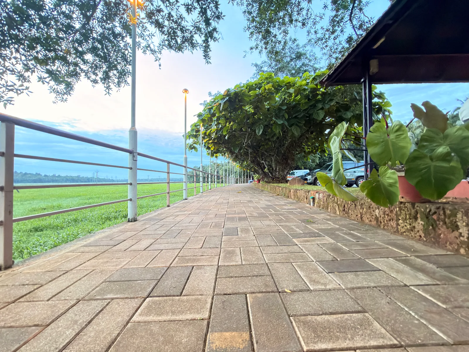 Paved level jogging and wheelchair-friendly walking circuit around campus perimeter